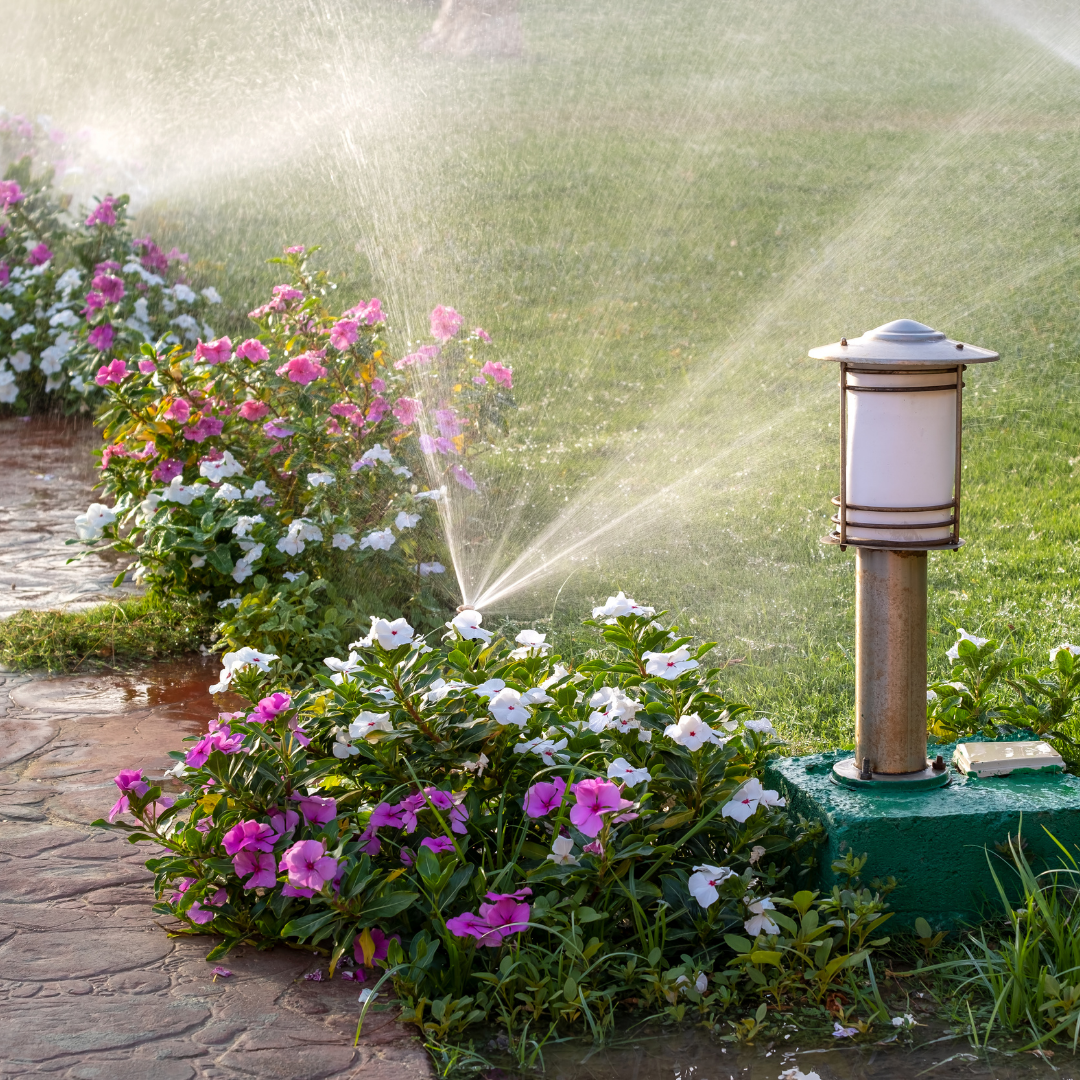 Beautiful garden installation by Elite Lawn Pros LLC in a residential backyard