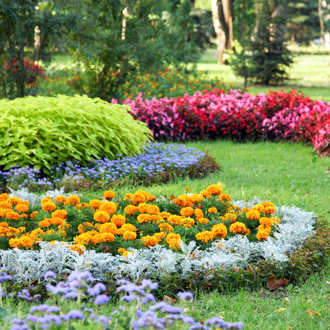 Professional landscapers maintaining a property in Orange County, FL