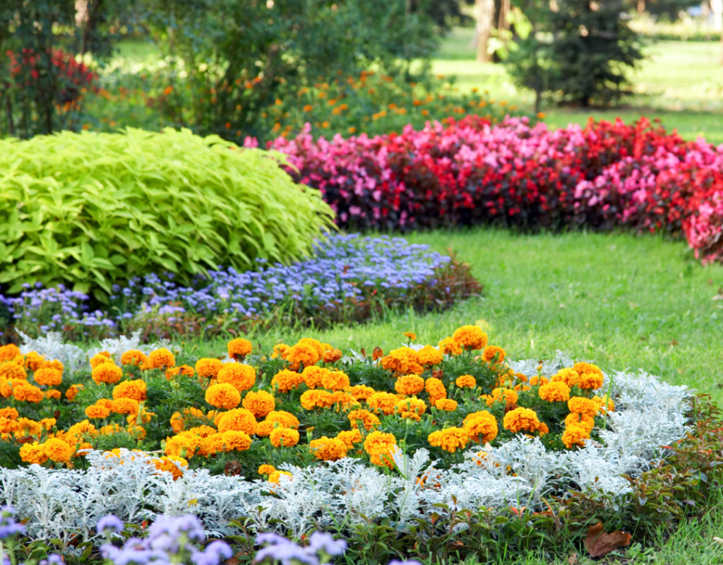 Professional landscapers maintaining a property in Orange County, FL